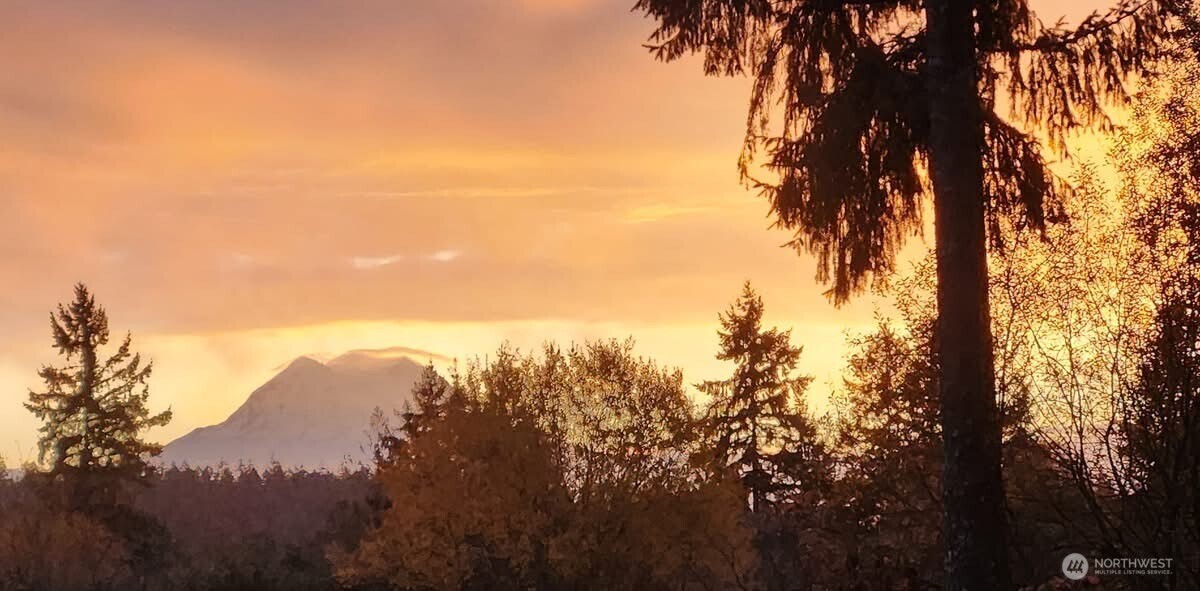 1546 Reservation Road SE #257, Olympia, WA 98513