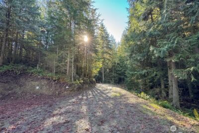 276 Watershed Road , Port Angeles, WA 98362 - Photo 12