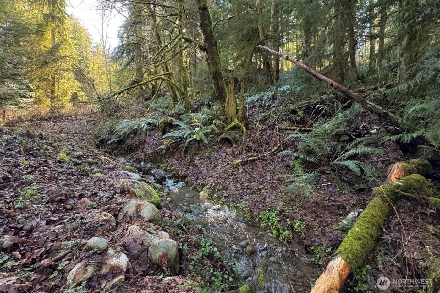 276 Watershed Road , Port Angeles, WA 98362