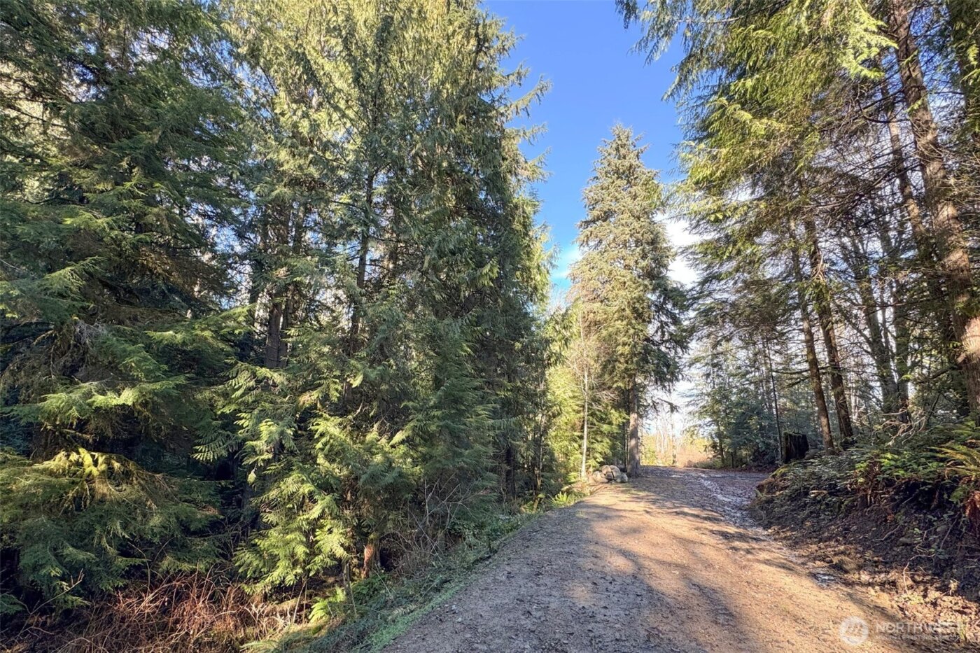 276 Watershed Road , Port Angeles, WA 98362