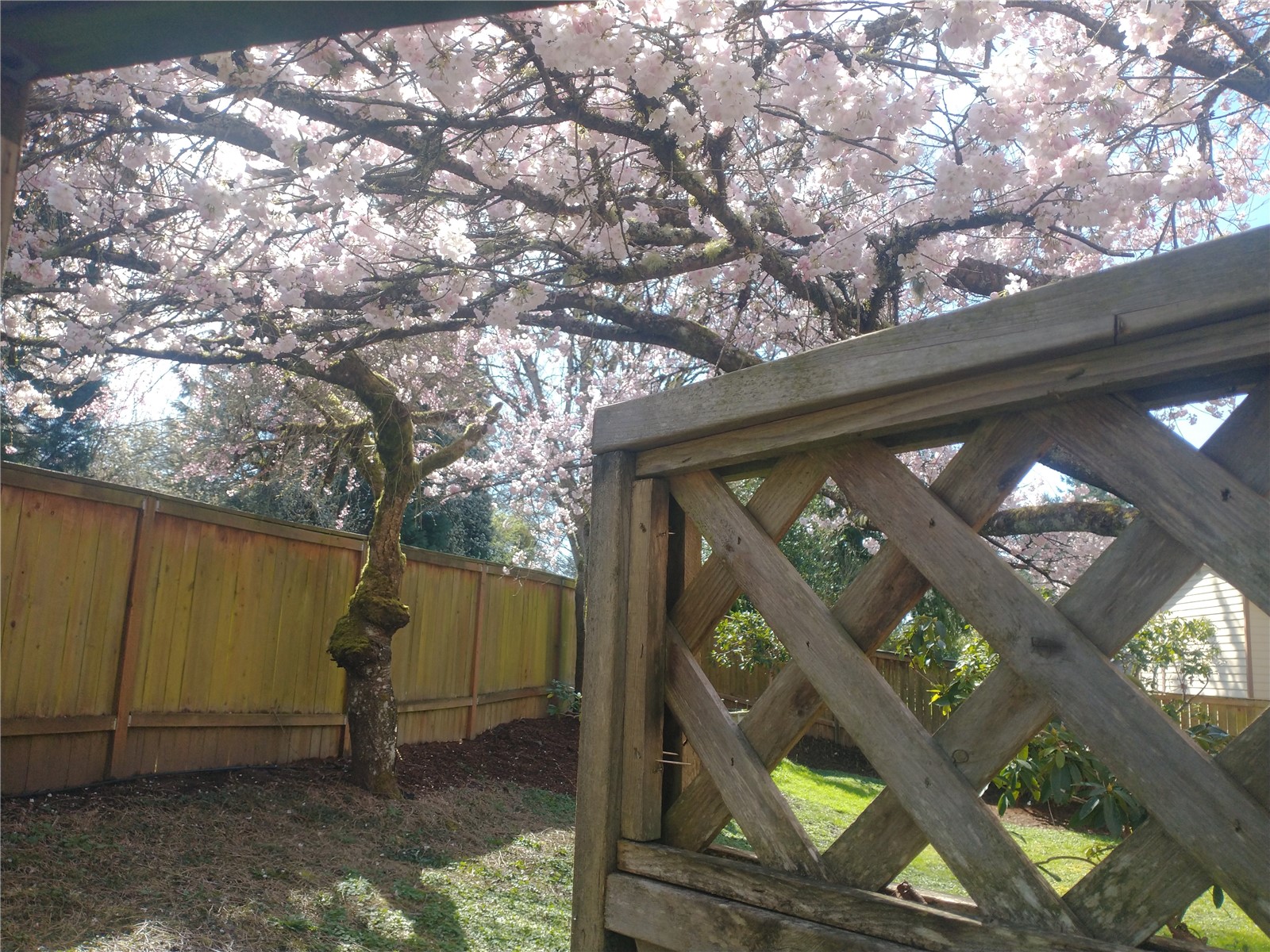 8129 NE 131st Street , Kirkland, WA 98034-2523