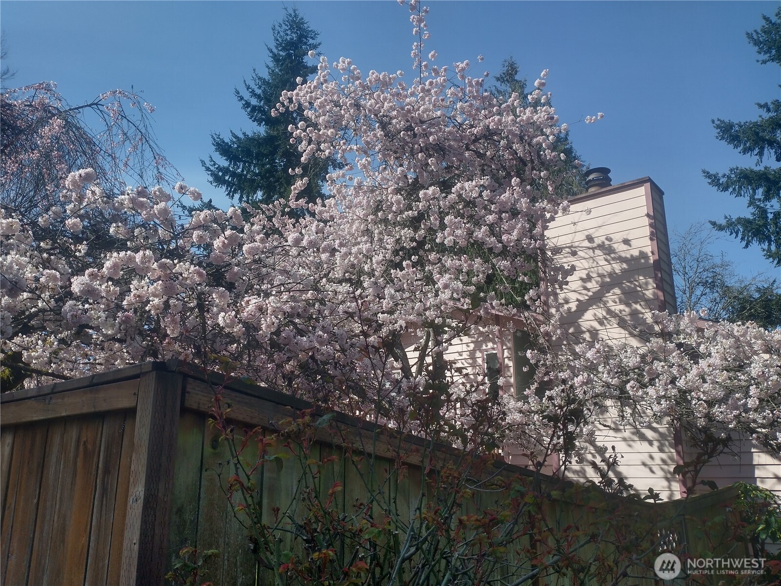 8129 NE 131st Street , Kirkland, WA 98034-2523