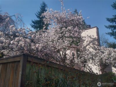8129 NE 131st Street , Kirkland, WA 98034-2523 - Photo 35