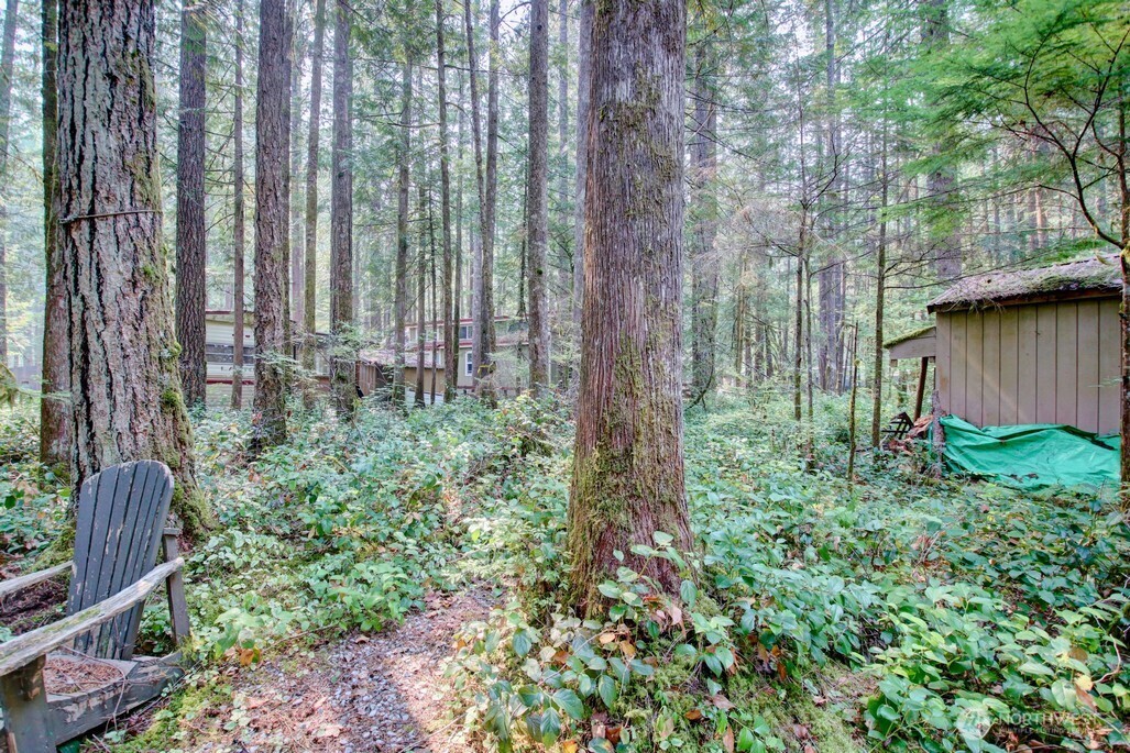 74 3 Schinn Canyon Circle , Deming, WA 98244