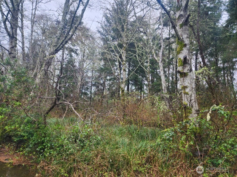 670 Weatherwax Loop NE, Ocean Shores, WA 98569