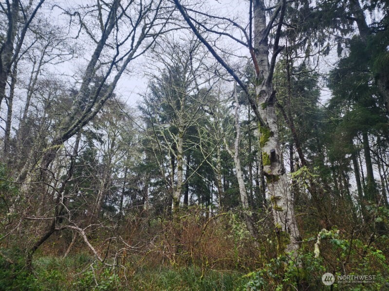 670 Weatherwax Loop NE, Ocean Shores, WA 98569