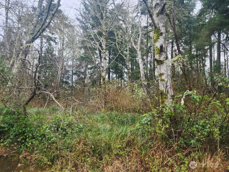 670 Weatherwax Loop NE, Ocean Shores, WA 98569