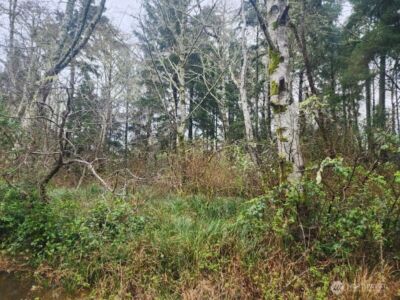 670 Weatherwax Loop NE, Ocean Shores, WA 98569 - Photo 5