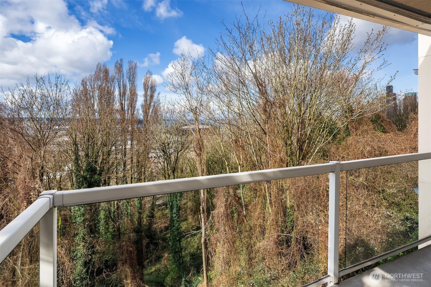 1604 11th Avenue S #201, Seattle, WA 98134