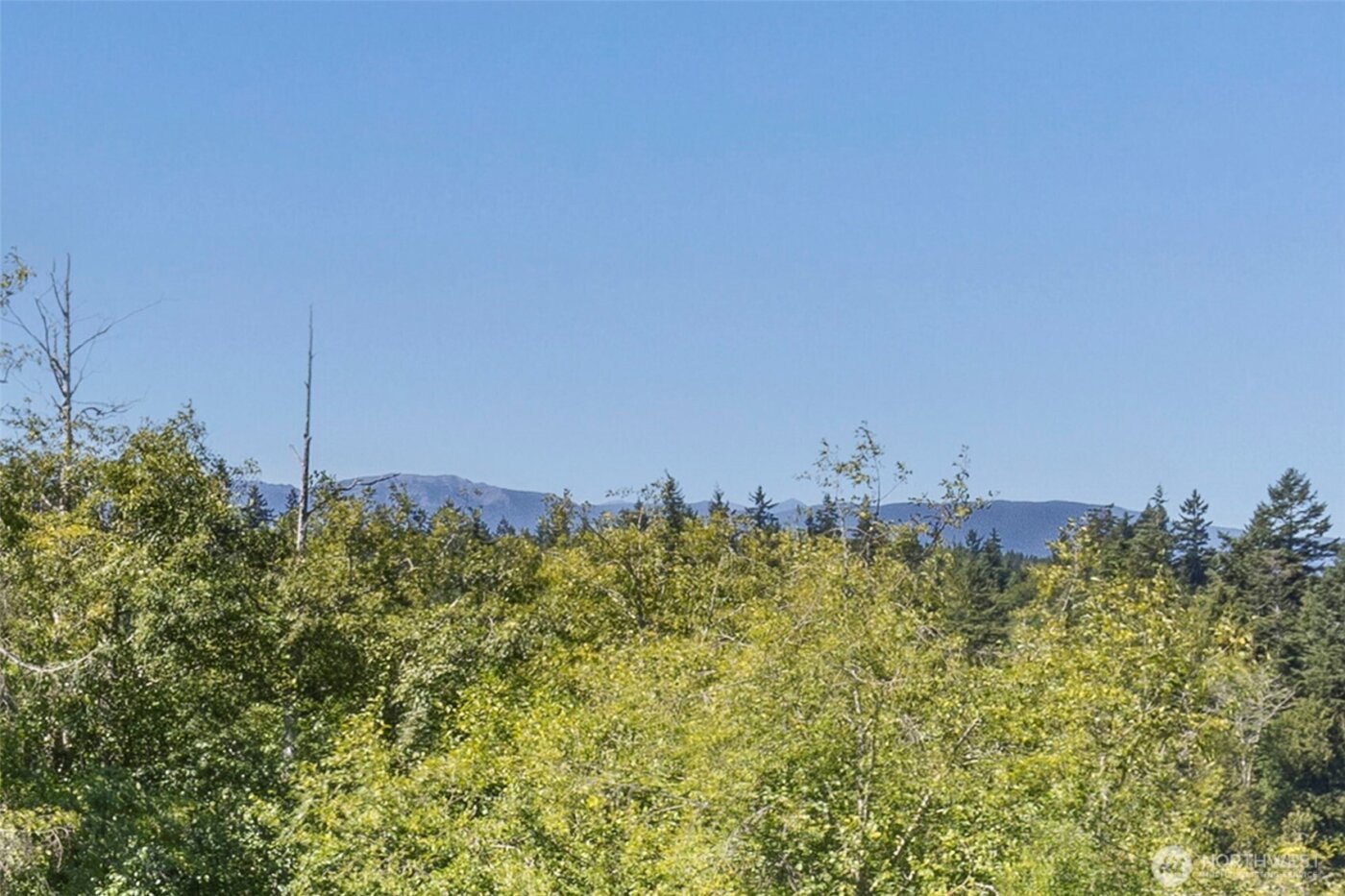 184 Dogleg Lane , Port Ludlow, WA 98365