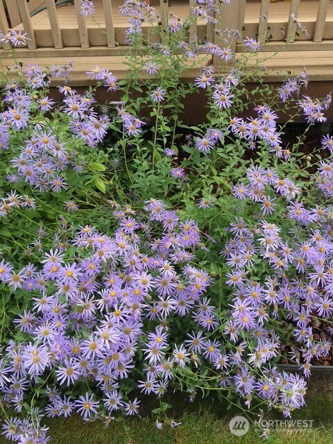 246 27 Walker Road , Toledo, WA 98591-9419