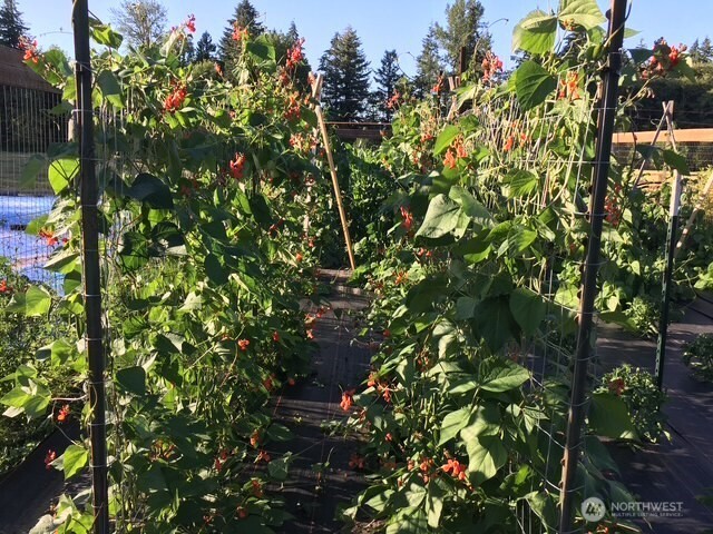 246 27 Walker Road , Toledo, WA 98591-9419