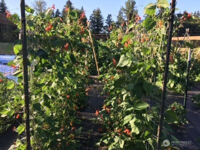 246 27 Walker Road , Toledo, WA 98591-9419 - Photo 36