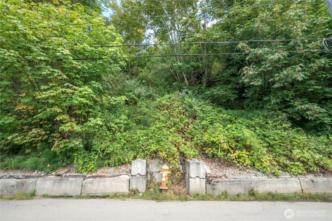 23 XX Perkins Lane W, Seattle, WA 98199