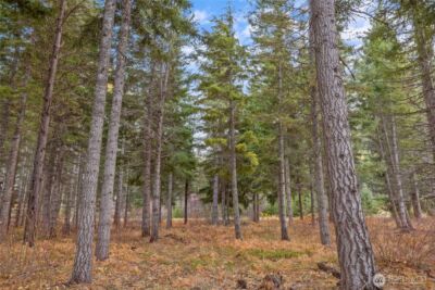 230 Goat Creek Lane , Cle Elum, WA 98922