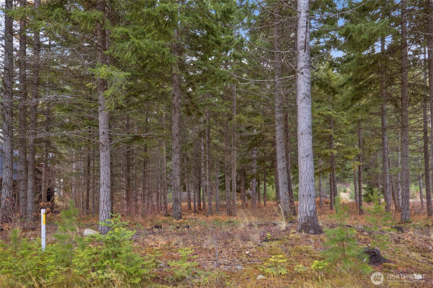 230 Goat Creek Lane , Cle Elum, WA 98922