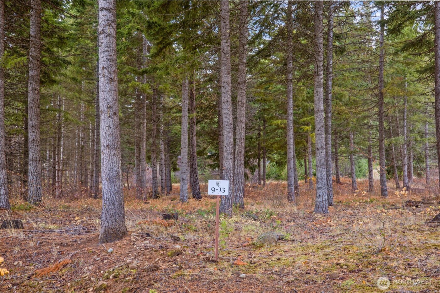 230 Goat Creek Lane , Cle Elum, WA 98922