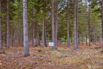 230 Goat Creek Lane , Cle Elum, WA 98922 - Photo 3