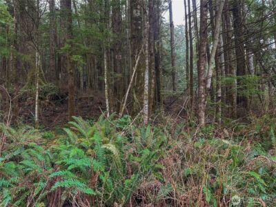 0 TR 15 Salal Drive , Copalis Beach, WA 98535 - Photo 1