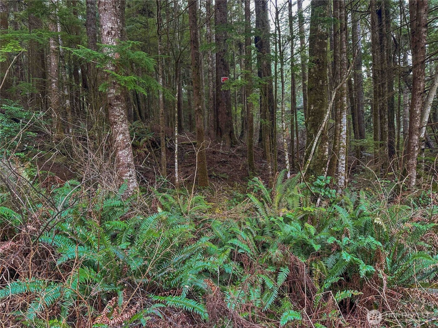 0 TR 15 Salal Drive , Copalis Beach, WA 98535