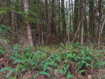 0 TR 15 Salal Drive , Copalis Beach, WA 98535 - Photo 2