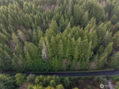 0 TR 15 Salal Drive , Copalis Beach, WA 98535 - Photo 5