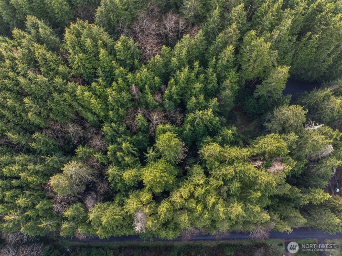 0 TR 15 Salal Drive , Copalis Beach, WA 98535