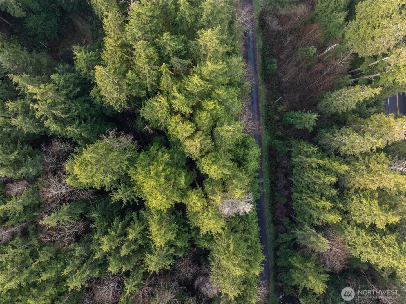 0 TR 15 Salal Drive , Copalis Beach, WA 98535