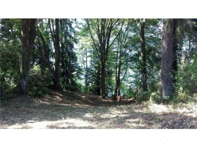 163 XX Inglewood Road NE, Kenmore, WA 98028 - Photo 5