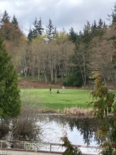 12303 Harbour Pointe Boulevard #S303, Mukilteo, WA 98275