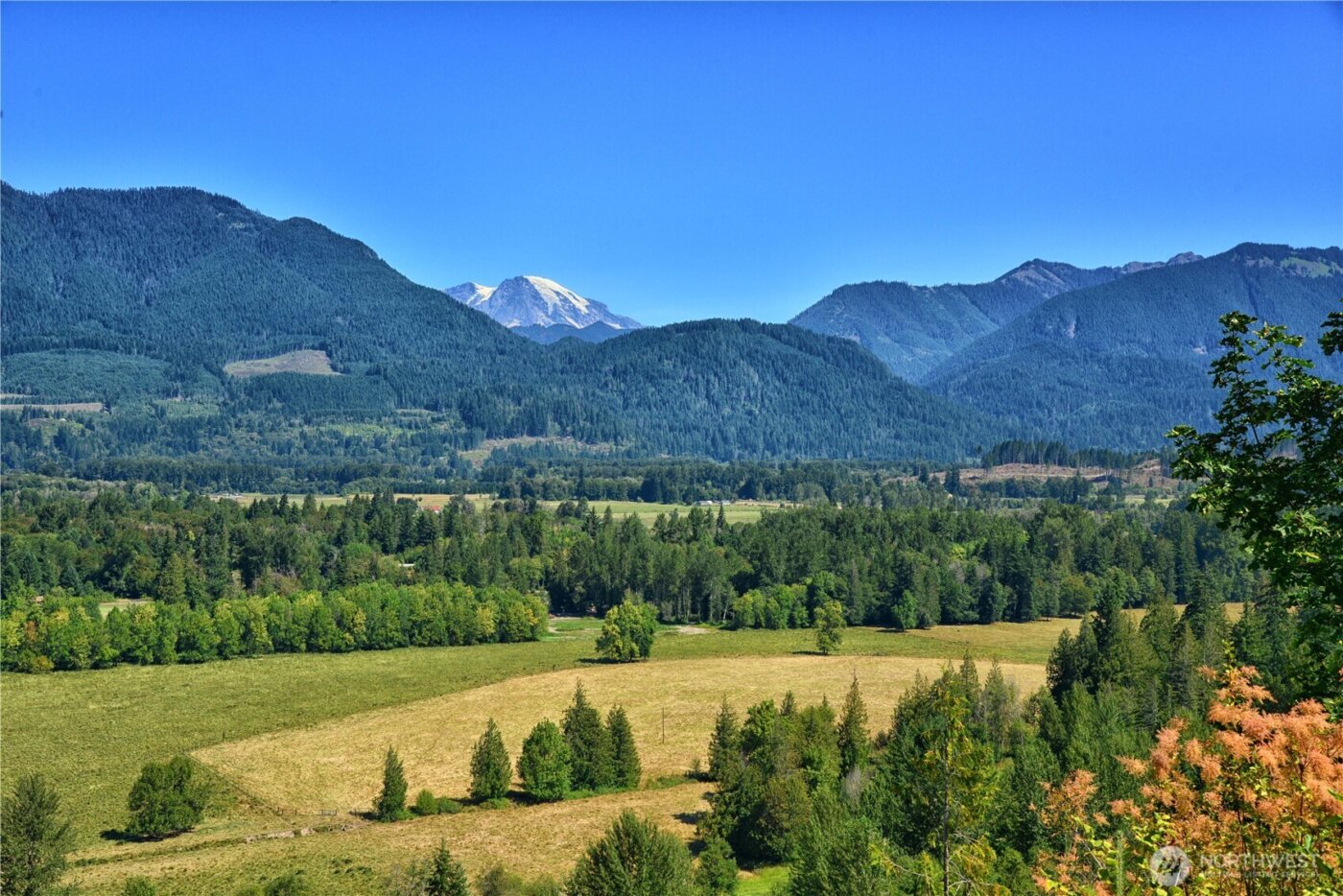 3 Skinner Road , Randle, WA 98377