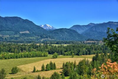 3 Skinner Road , Randle, WA 98377