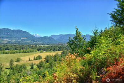 3 Skinner Road , Randle, WA 98377 - Photo 13