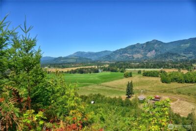 3 Skinner Road , Randle, WA 98377 - Photo 16