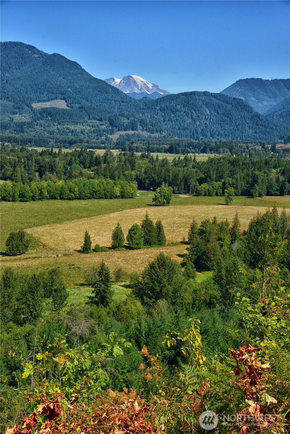 3 Skinner Road , Randle, WA 98377