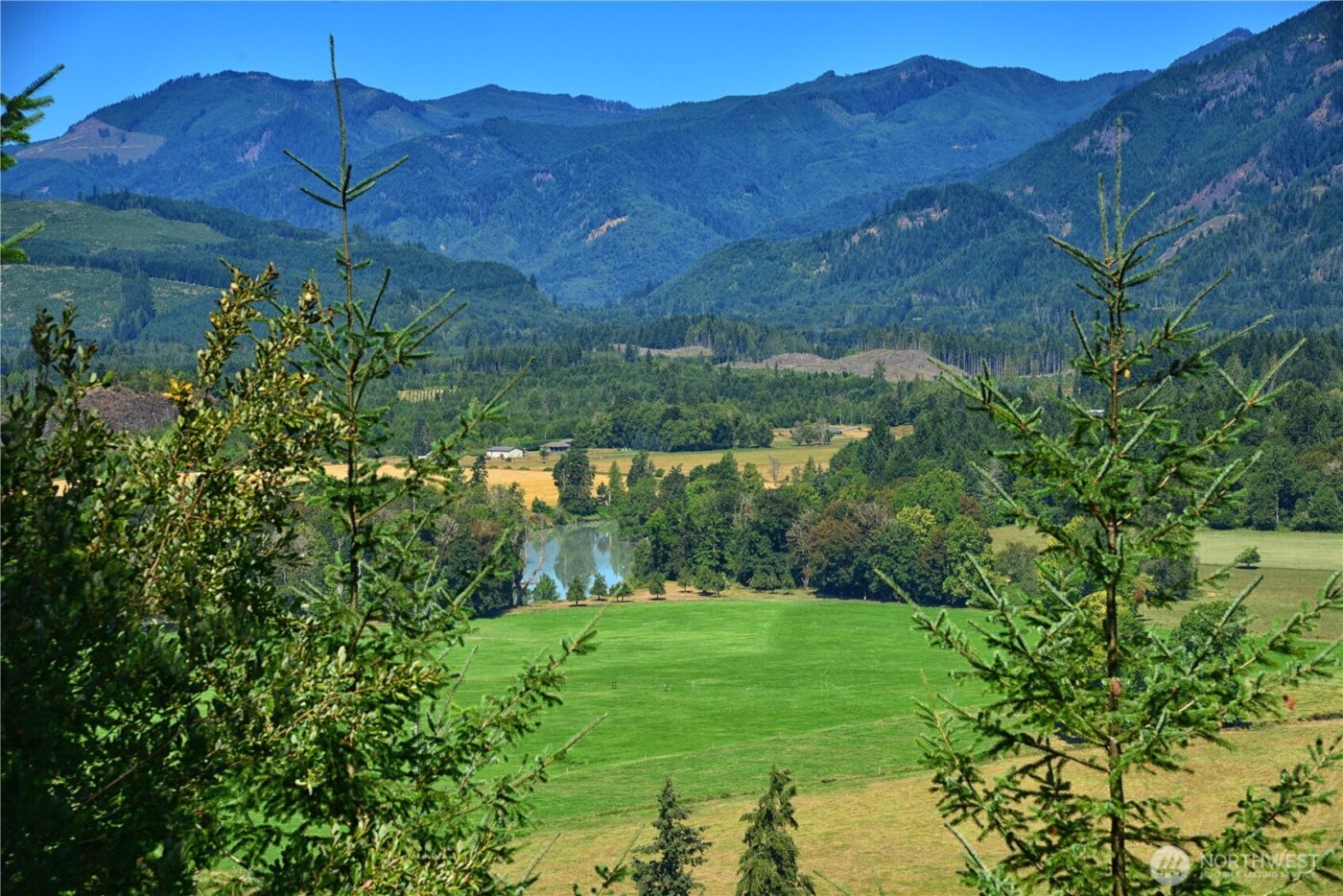 3 Skinner Road , Randle, WA 98377