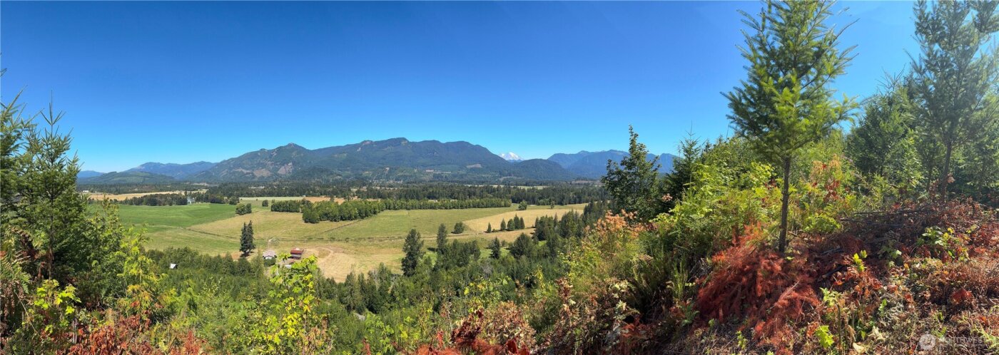 3 Skinner Road , Randle, WA 98377