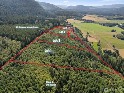 3 Skinner Road , Randle, WA 98377 - Photo 24