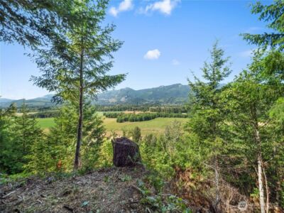 3 Skinner Road , Randle, WA 98377 - Photo 25