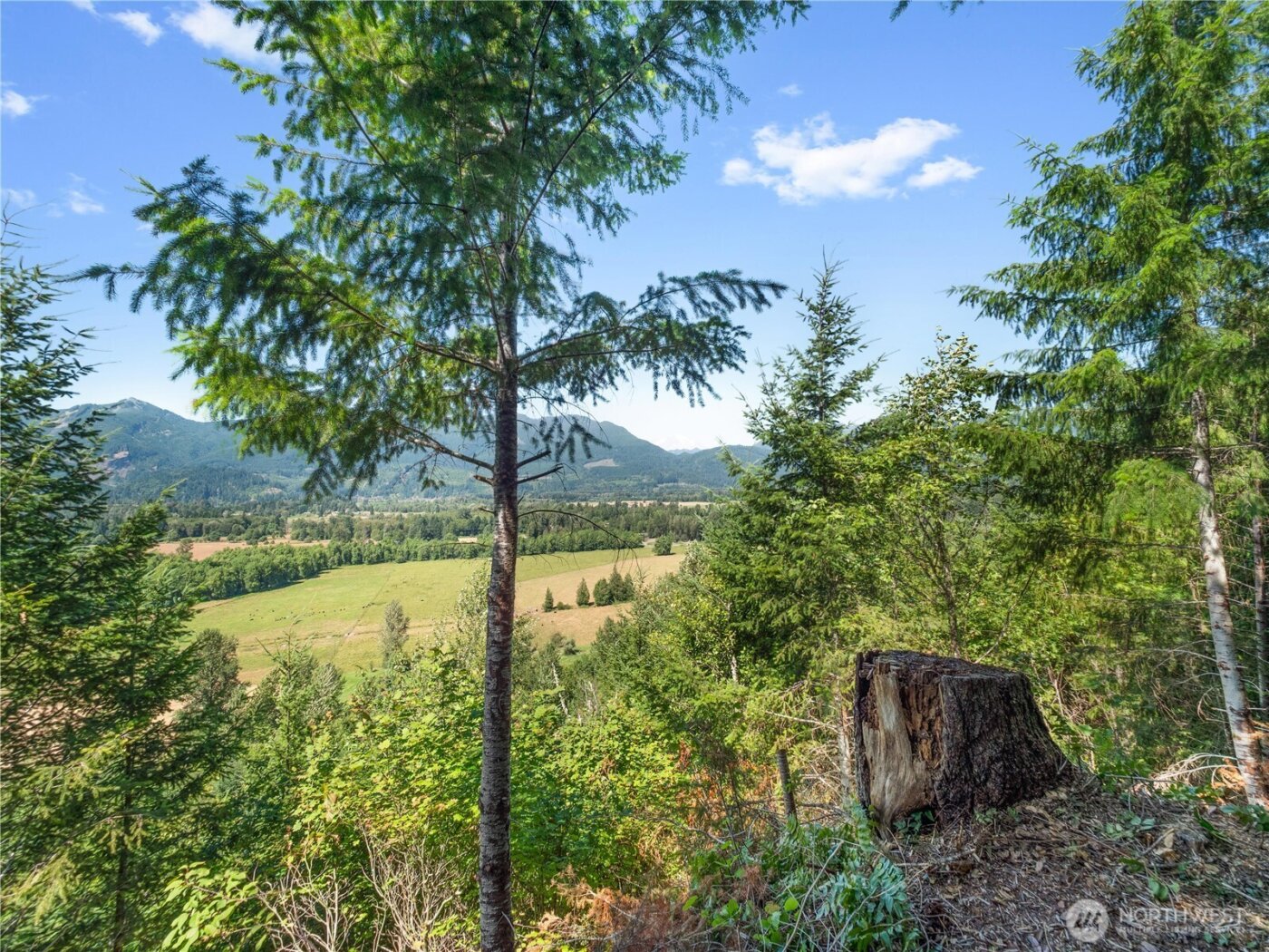 3 Skinner Road , Randle, WA 98377