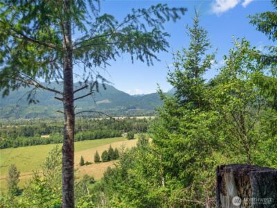 3 Skinner Road , Randle, WA 98377 - Photo 28