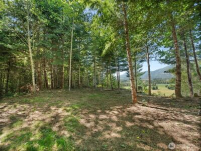 3 Skinner Road , Randle, WA 98377 - Photo 30