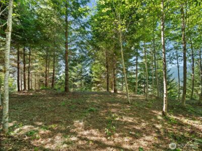 3 Skinner Road , Randle, WA 98377 - Photo 33