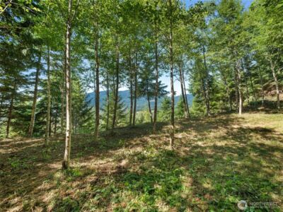 3 Skinner Road , Randle, WA 98377 - Photo 34