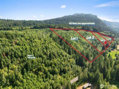 3 Skinner Road , Randle, WA 98377 - Photo 35