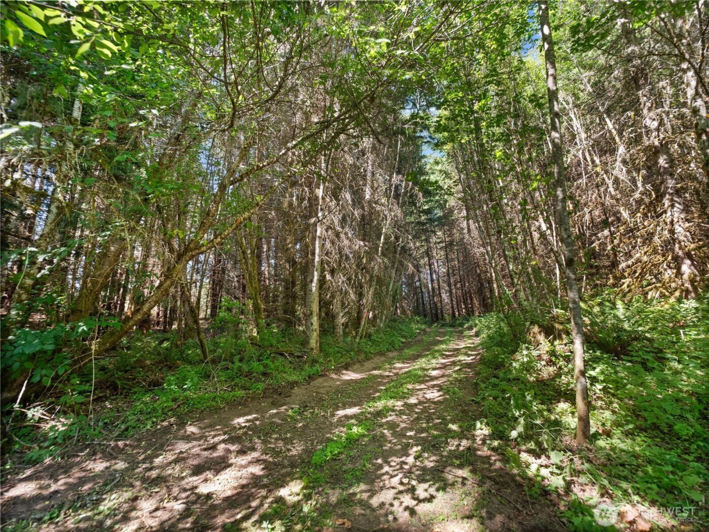 3 Skinner Road , Randle, WA 98377