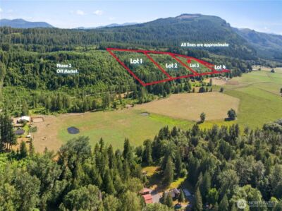 3 Skinner Road , Randle, WA 98377 - Photo 38