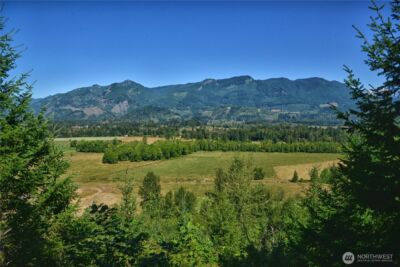 3 Skinner Road , Randle, WA 98377 - Photo 5