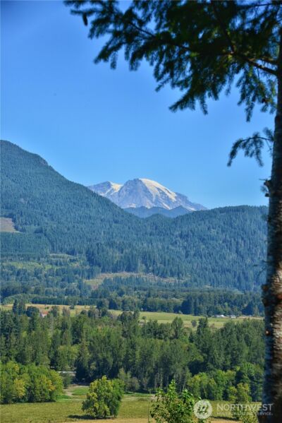 3 Skinner Road , Randle, WA 98377 - Photo 7