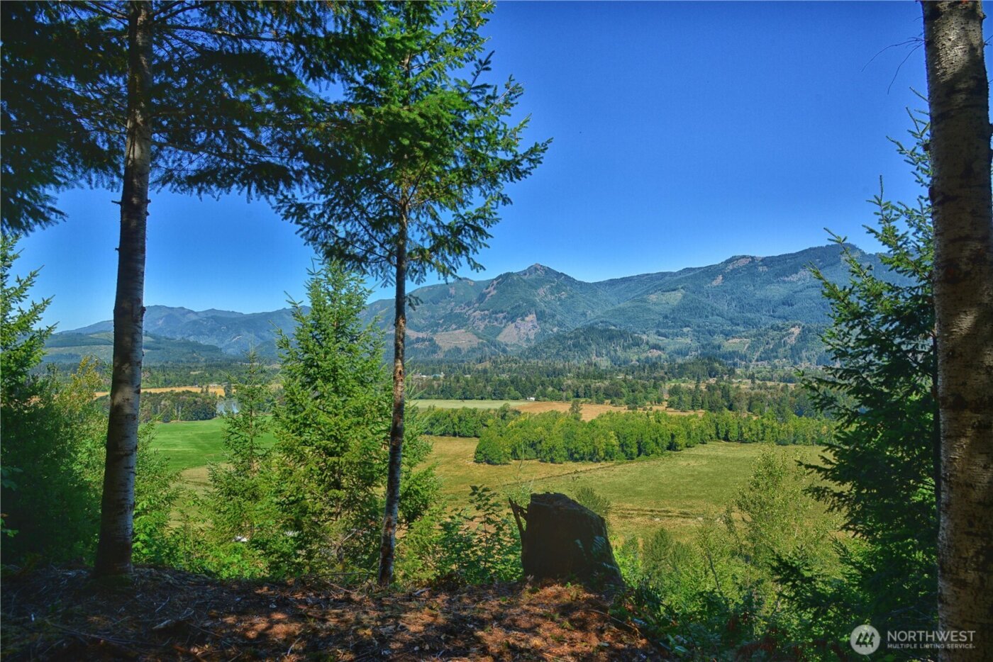 3 Skinner Road , Randle, WA 98377